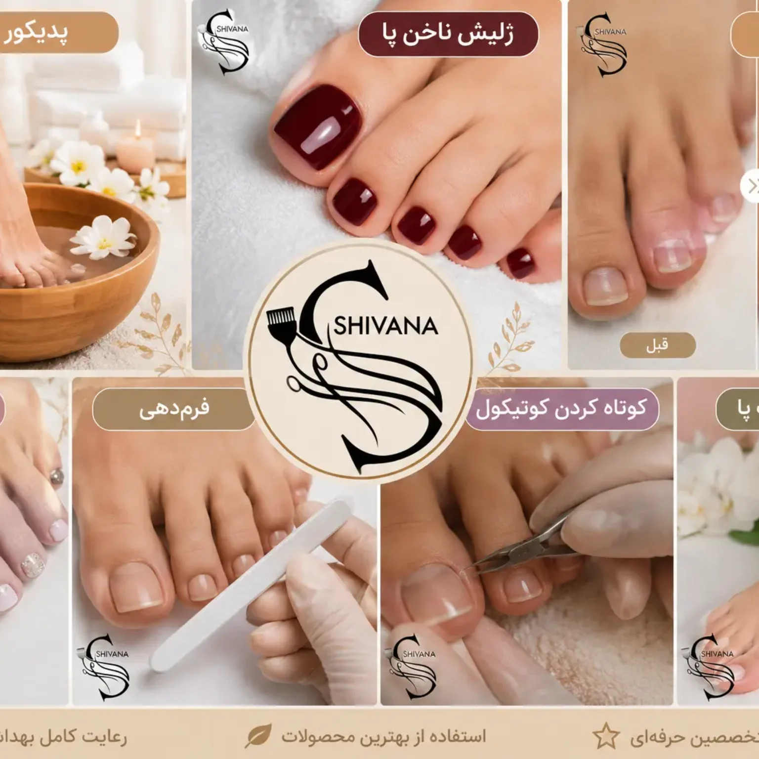 ناخن آکادمی شیوانا